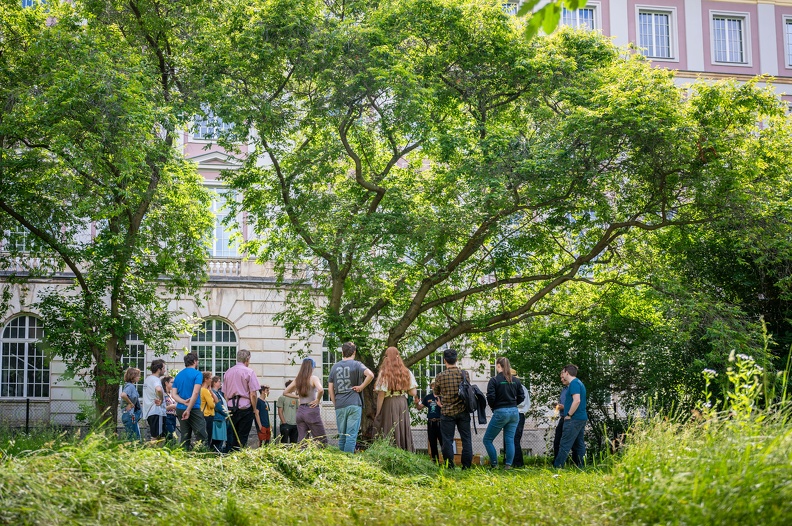 Dies academicus & Hochschulfest am 05.06.24.